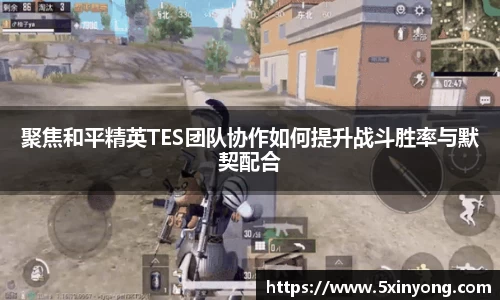 MILE米乐官方网站